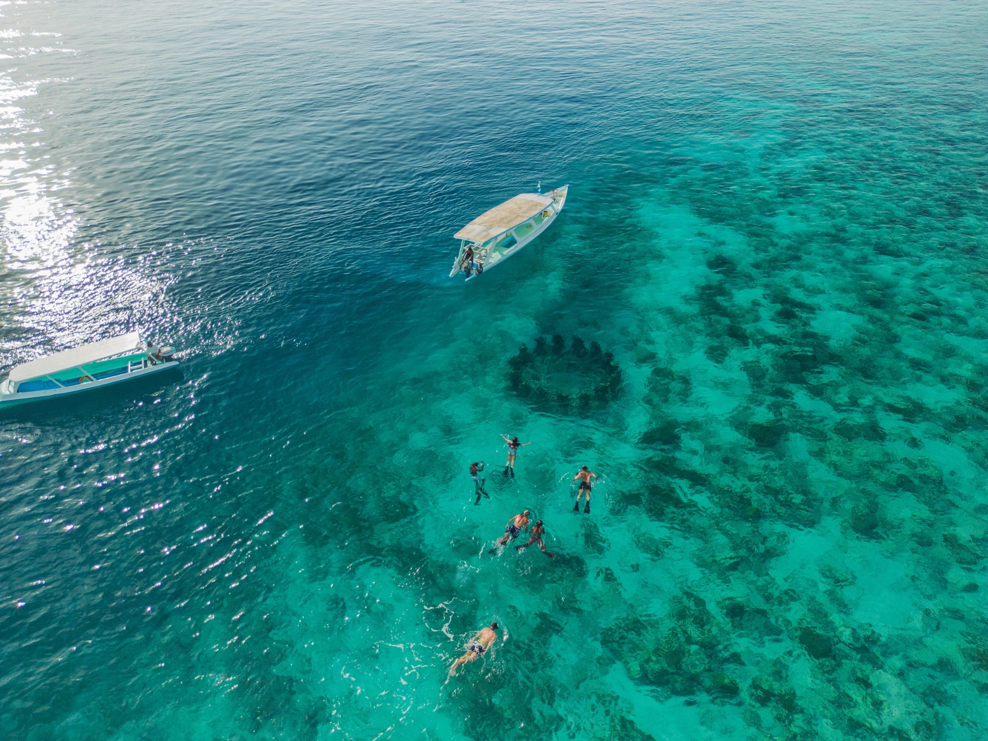 Aerial view of snorkelers over coral reef